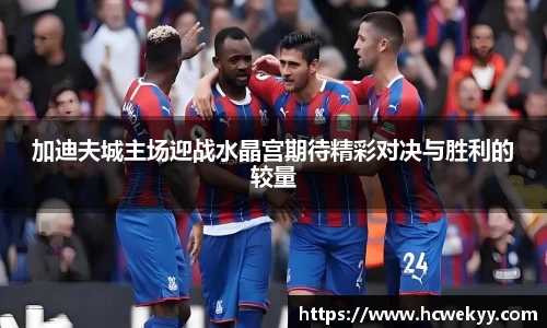 加迪夫城主场迎战水晶宫期待精彩对决与胜利的较量